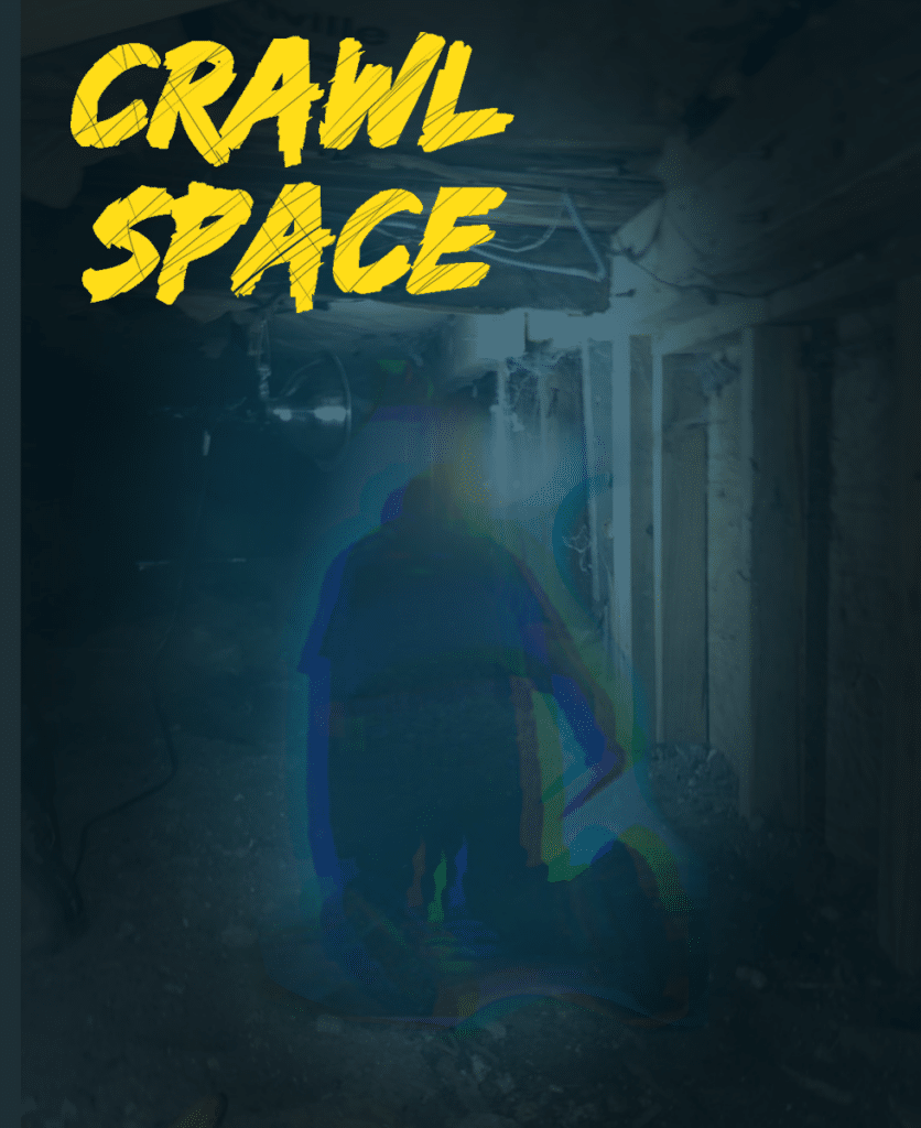 SMART CRAWL SPACE DEBATE: Which is better?