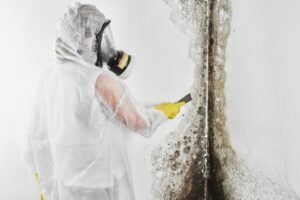 Mold Testing in Your Home and the Health Risks