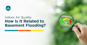 Indoor Air Quality Basement Flooding - Basement Defender