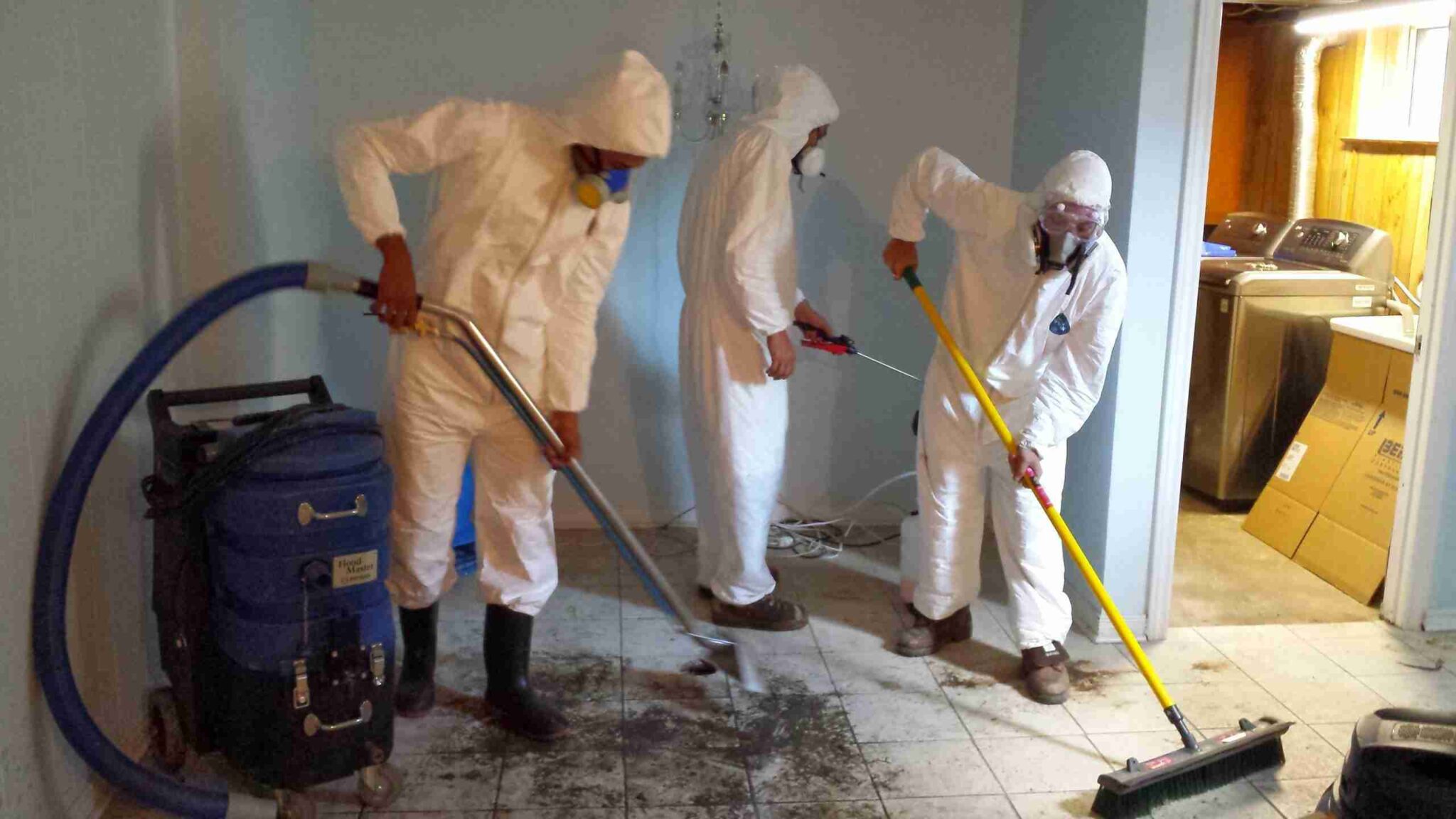 flooded basement cleanup, water damage services